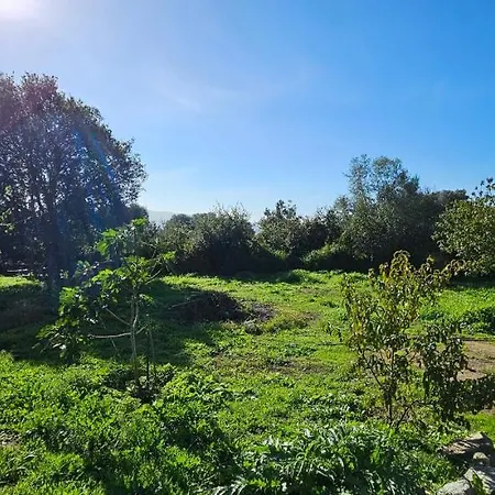 T3 Paisible Quartier Vigna Maggiore, Apartment Olmeto (Corsica)