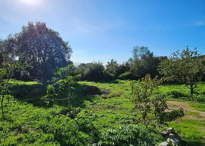 T3 Paisible Quartier Vigna Maggiore, Apartment Olmeto (Corsica)